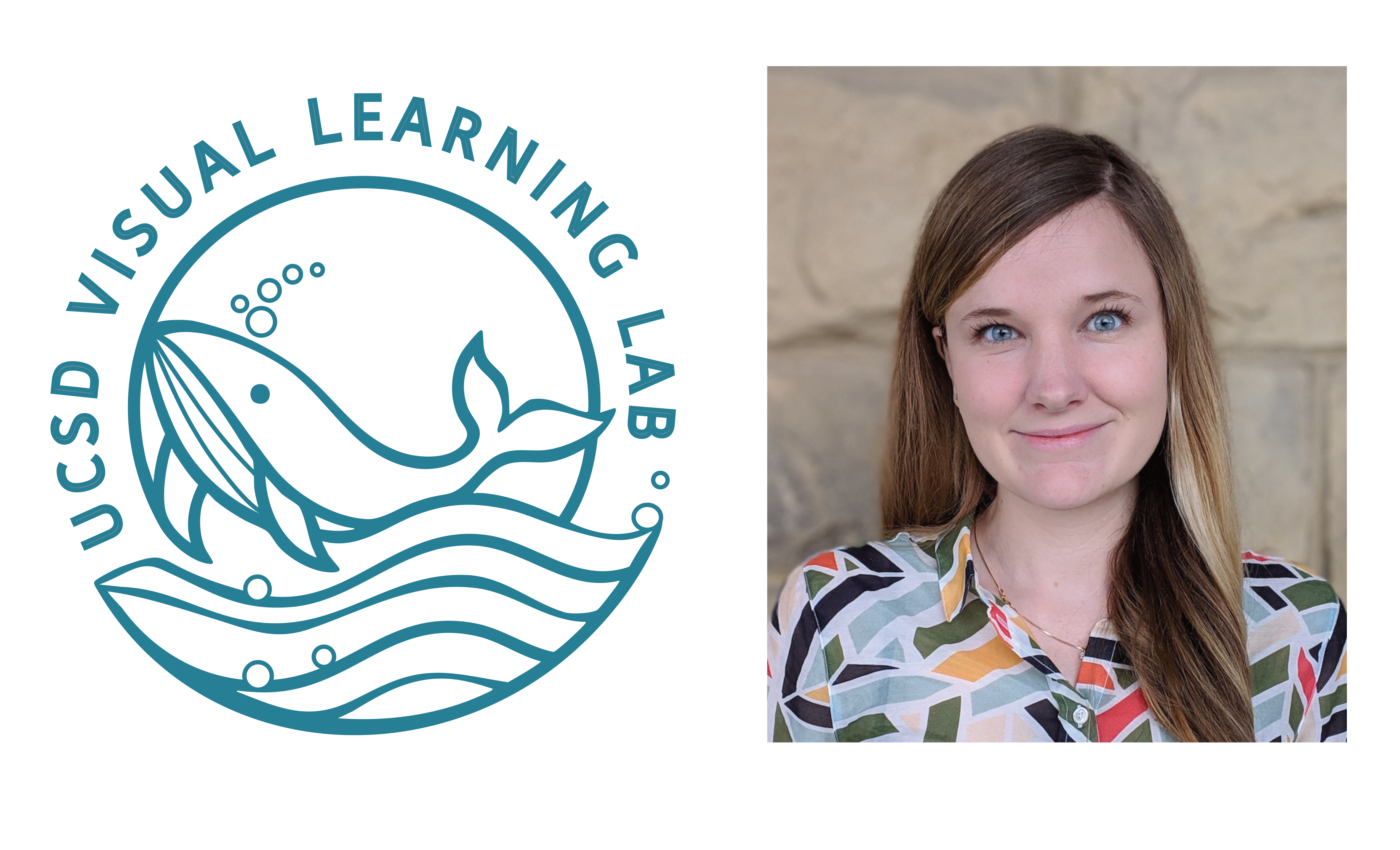 Visual Learning Lab logo